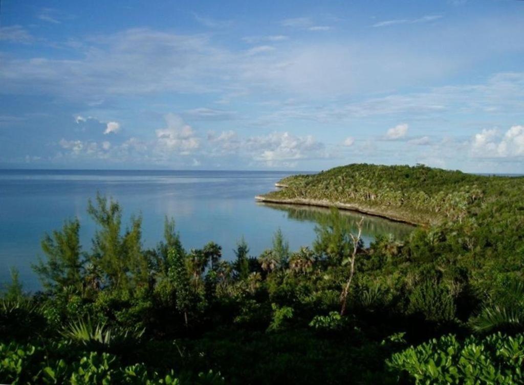 Beside The Pointe Cottage Savannah Sound Eksteriør bilde